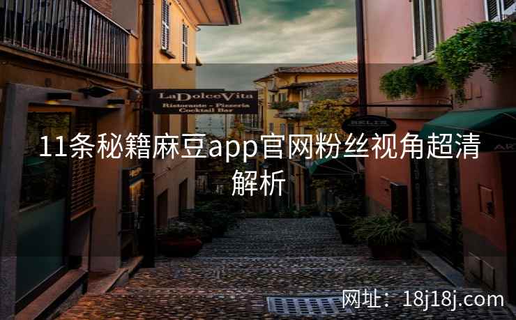 11条秘籍麻豆app官网粉丝视角超清解析