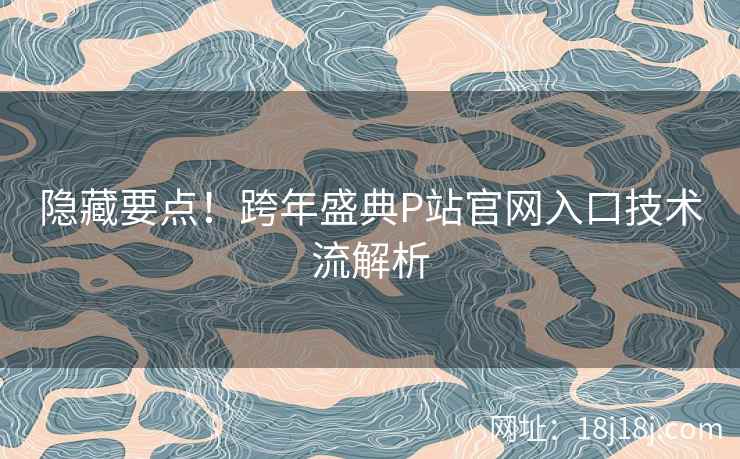 隐藏要点！跨年盛典P站官网入口技术流解析