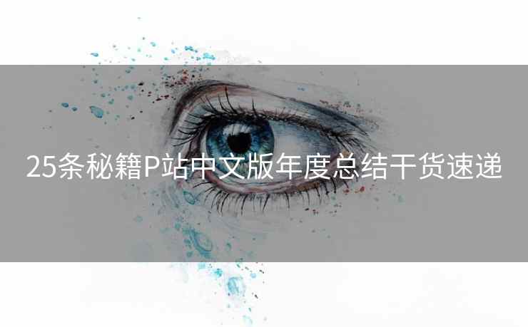 25条秘籍P站中文版年度总结干货速递