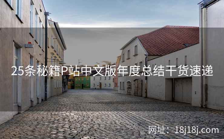 25条秘籍P站中文版年度总结干货速递