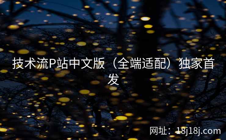 技术流P站中文版（全端适配）独家首发