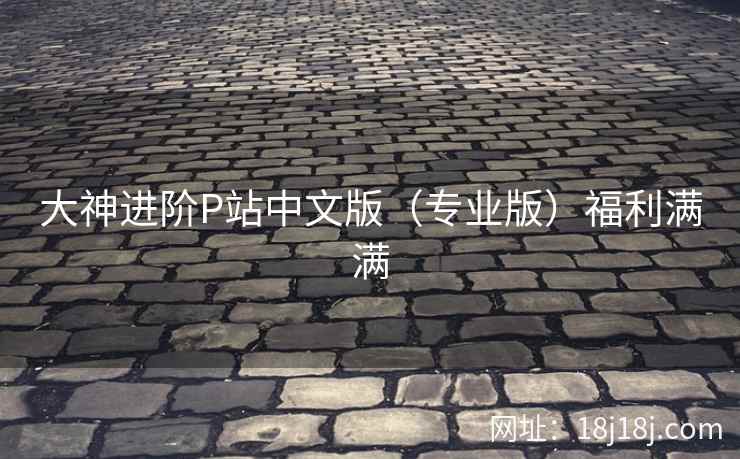大神进阶P站中文版（专业版）福利满满