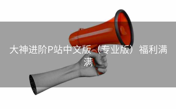 大神进阶P站中文版（专业版）福利满满
