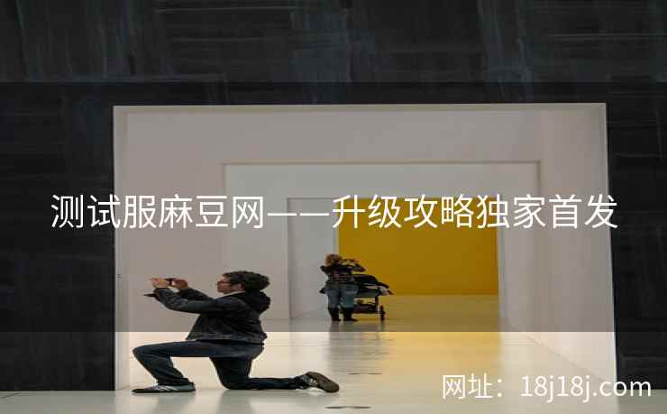 测试服麻豆网——升级攻略独家首发