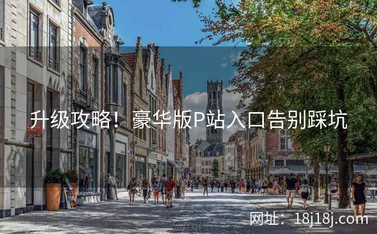 升级攻略！豪华版P站入口告别踩坑